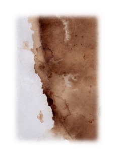 coffee stain 3