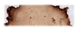 coffee stain fragment again
